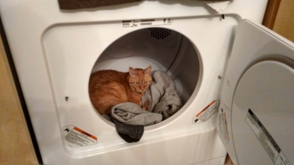 A ginger cat is curled up inside an open clothes dryer, lying on some laundry. The dryer door is ajar, and the cat looks relaxed and comfortable.